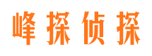 大渡口侦探公司